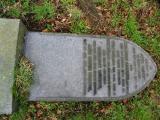 image of grave number 246493